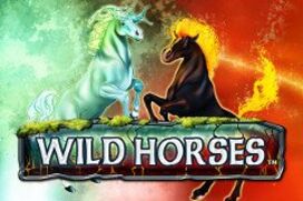 Играть в Wild Horses