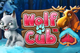 Играть в Wolf Cub